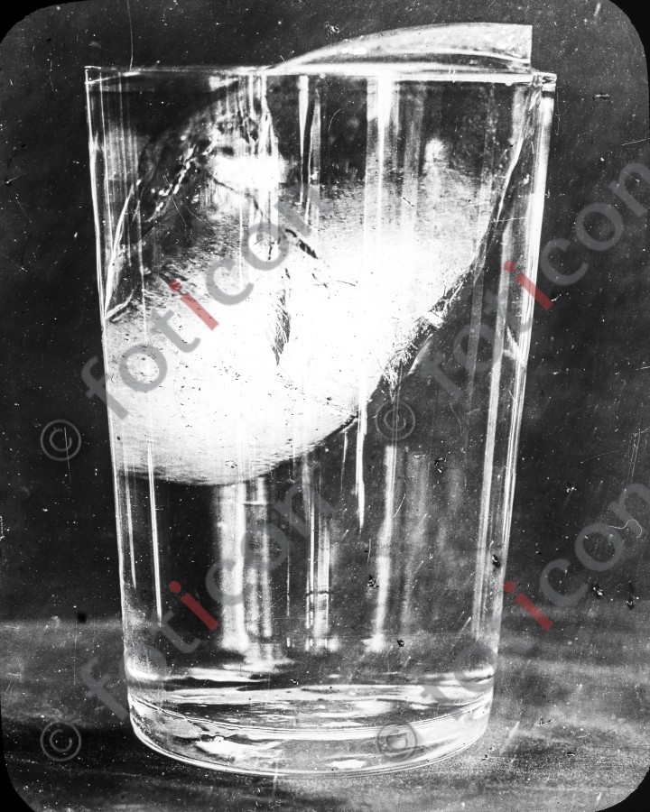 Eis im Wasserglas | Ice in a glass of water - Foto simon-titanic-196-023-sw.jpg | foticon.de - Bilddatenbank für Motive aus Geschichte und Kultur
